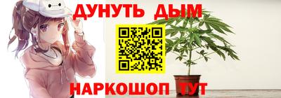 индика Бийск