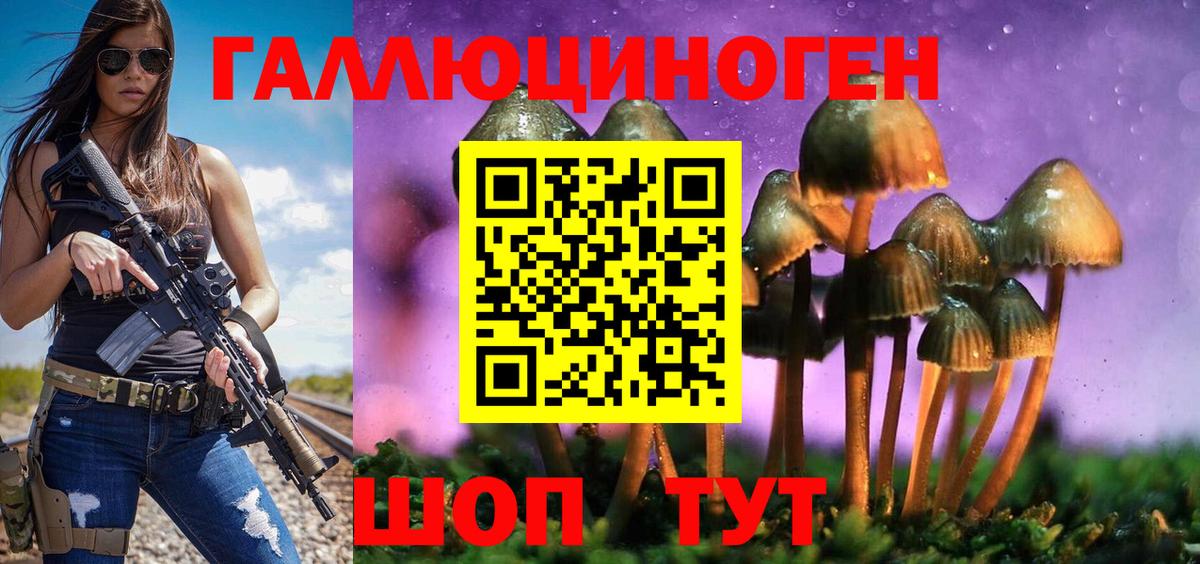 Дмитров  Псилоцибиновые грибы прущие грибы  Вход с VPN 