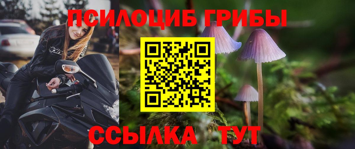 Галлюциногенные грибы мицелий Дмитров